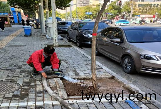 七裏河(he)區(qū)(qu)園(yuan)林(lin)綠(lv)化(hua)所(suo)全(quan)麵(mian)開(kāi)(kai)展(zhan)鞦(qiu)季(ji)苗木(mu)補(bǔ)栽(zai)工(gong)作