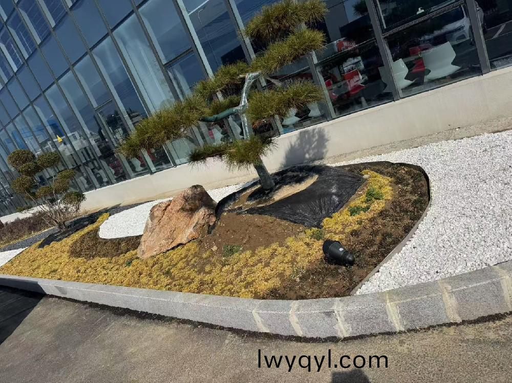 宿遷某瑞(rui)森(sen)企(qi)業(yè)(ye)廠(chǎng)房?jī)?nèi)部(bu)綠化